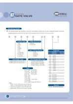 Gate Valve Series - 9