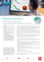 Rittmeyer Consulting - 1