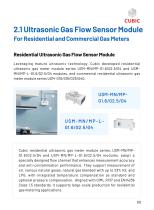 Cubic Natural Gas Sensing and Control Solutions-10