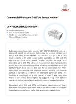 Cubic Natural Gas Sensing and Control Solutions-11