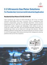 Cubic Natural Gas Sensing and Control Solutions-12