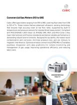Cubic Natural Gas Sensing and Control Solutions-13