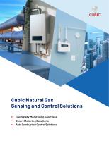 Cubic Natural Gas Sensing and Control Solutions-1