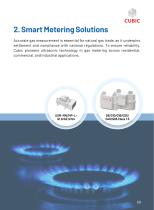 Cubic Natural Gas Sensing and Control Solutions-9