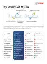 Cubic Ultrasonic Sub-Metering Solutions For Multi-Unit Buildings-5