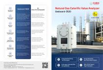 Natural Gas Calorific Value Analyzer-1