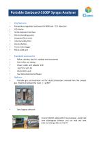 Syngas portable analyzers-2