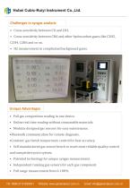 Total Solution for Syngas Analyzer - 4