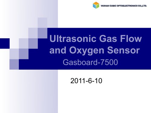 Ultrasonic Gas Flow and Oxygen Sensor