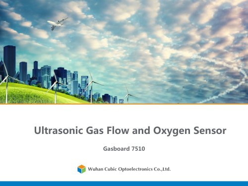 Ultrasonic Gas Flow and Oxygen Sensor Gasboard 7510