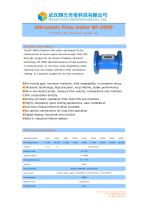 Ultrasonic gas flow meter BF-3000 - 1