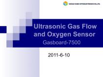 Ultrasonic Gas Flow and Oxygen Sensor - 1