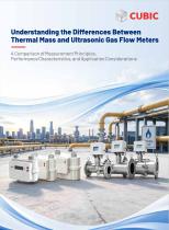 Understanding the Differences Between Thermal Mass and Ultrasonic Gas Flow Meters-1