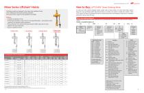 Liftchain® Air Hoist LC2A 1 to 25 Ton - 5