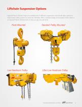 Liftchain Air and Hydraulic Hoists - 5