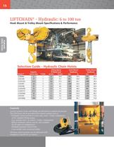 LIFTCHAIN® Hydraulic Hoist-2