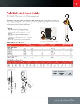 Manual Hoists - 13