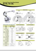 Hyundai LCD robot series - 3