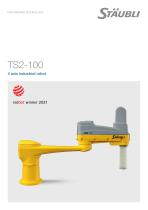 TS2-100 datasheet-1