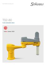 TS2-80 datasheet-1