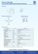 Model 101B (a19D) - 2