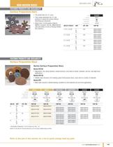 Non-Woven disc 2010-4