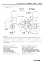 Colombo Filippetti - Globoidal cam indexing tables RIGIDIAL - 9