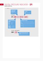 DIGITAL PRESSURE INDICATOR - DPI - 2