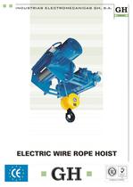 ELECTRIC WIRE ROPE HOIST - 1