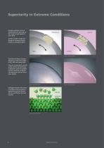 BIOLOX®delta - The Fourth Generation of Ceramics-8