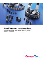 Cyrol® ceramic bearing rollers-1