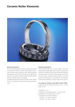Cyrol® ceramic bearing rollers-3