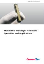 Monolithic Multilayer Actuators-1