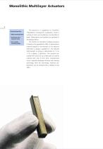 Monolithic Multilayer Actuators-2