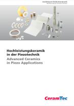Multifunctional Ceramics Division-1
