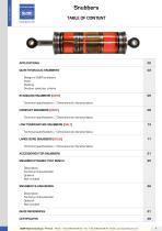 Hydraulic snubbers - 3