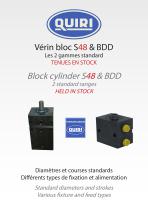 Vérin bloc S48 & BDD