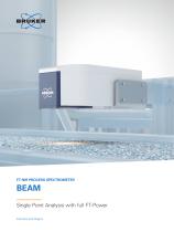 BEAM-1