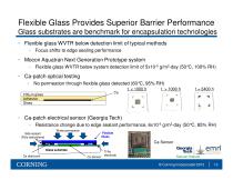 Flexible glass for device substrate and hermetic barrier applications - 13