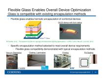 Flexible glass for device substrate and hermetic barrier applications - 14