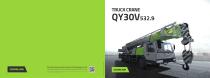 TRUCKCRANE QY30V532.9 - 1