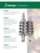 S energy-3