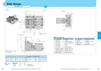 Side Gauge - 1