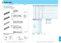 Slide Core Related Parts:Guide rail - 1