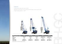 Cranes-21