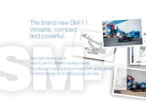 SM-11 MICROPILES-2