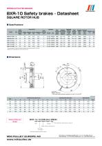 BXR Model datasheet - 1