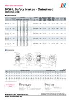 BXW Model datasheets-1