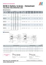 BXW Model datasheets-2