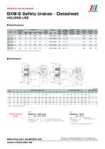 BXW Model datasheets-3